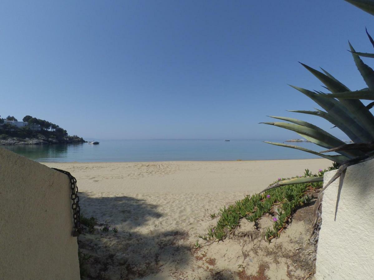 New Madrague Sun Appartement